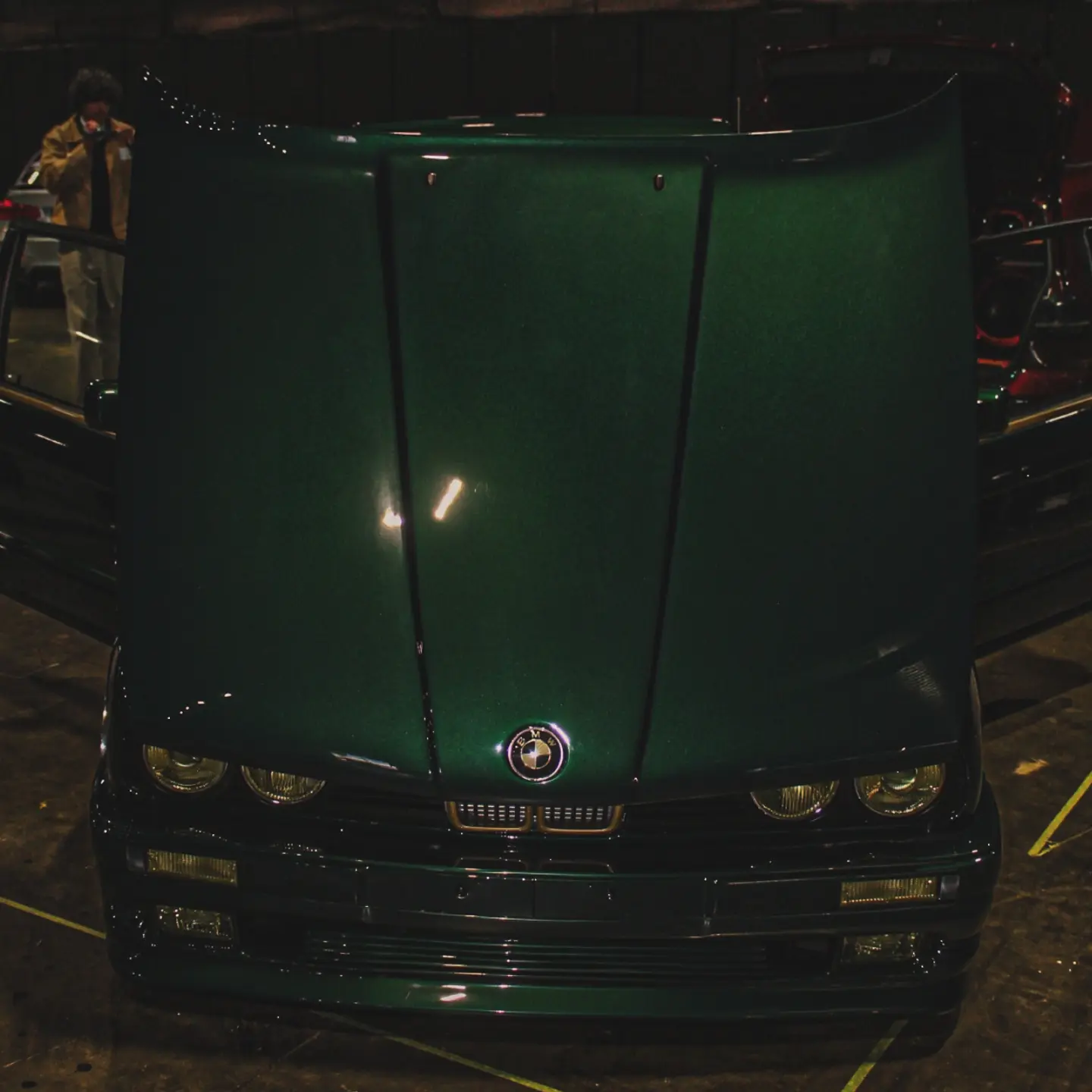 Nose up, BMW badge and gold-trimmed grille
